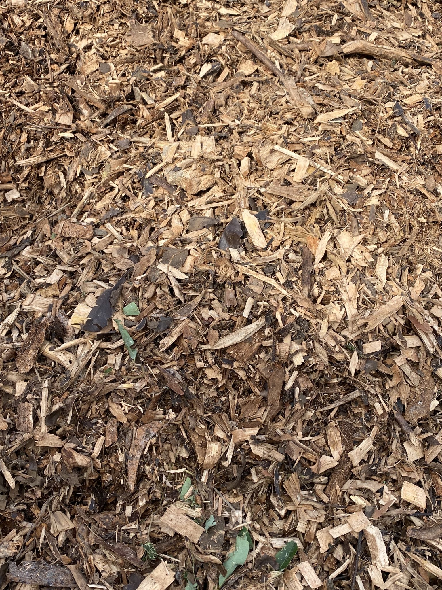 Mulch & Chips Mackay Diggers Landscape Supplies